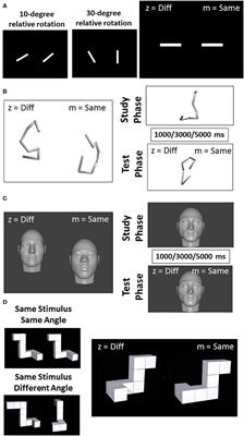 Effects of Levodopa on Impairments to High-Level Vision in Parkinson's Disease